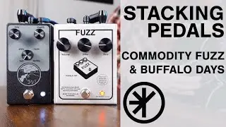 NativeAudio - Stacking Pedals  (Commodity Fuzz & Buffalo Days Reverb)