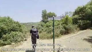 מחניון נחל אורן לחניון האגם - מעגלי ארוך בכרמל