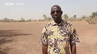 Burkina Faso's eco-friendly golf course