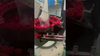 Rubber parts Automatic Optical System #machinevision #automaticinspection #ccdinspection #aoimachine
