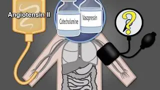 Treating Vasodilatory Shock