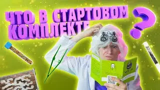 Что входит в стартовый комплект Мистер Ант?
