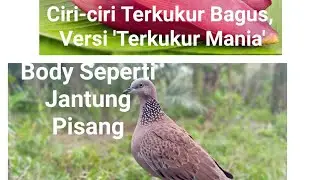 Cara Memilih Terkukur yang Bagus, Versi 'Terkukur Mania'