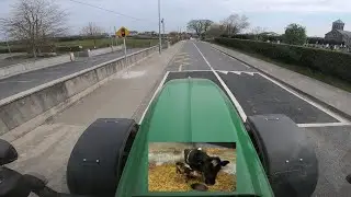 SLURRY....THE LONG DRAW,  A NEW CALF AND CRYPTO ARRIVES
