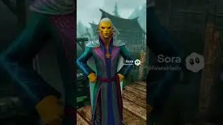 #ai #elderscrolls #altmer #morthal #dumb