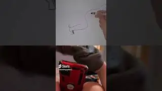 Shark Puppet Benji draws a Dog reaction #sharkpuppet #dog