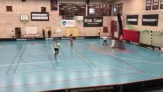 Pixbo F06 - &Auml;lvstranden F05/06, Period 2 (Innebandy / Floorball)
