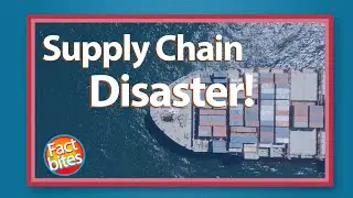 Supply Chain Disaster! What's going on?