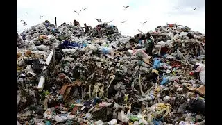 [Comprendre] La crise des déchets dans le monde