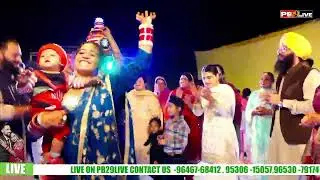 Punjabi Bollyi 2024 11 26