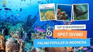 10 REKOMENDASI SPOT DIVING TERBAIK DI INDONESIA