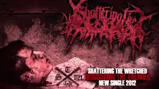 Shattering The Wretched - Disgorging The Enemies