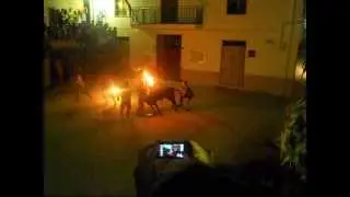 Embolada del toro cerril ''Siestecito''  Zucaina