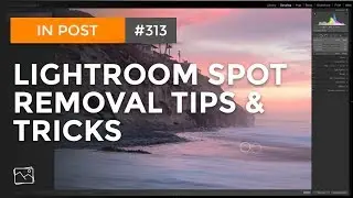 In Post: Lightroom Spot Removal Tips & Tricks #313