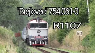 Brejlovec 754.061-0 | R1107 | Běl&aacute; pod Bezdězem | 11.7. 2018