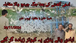 pahli bar mukabala abadi wali patari per bahut jyada kabutar gir Gaye