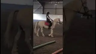 I love spike sm #horseing #horse #iftheworldwasending