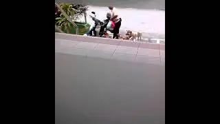 Street Dogs  at Oakland Hotel,S2