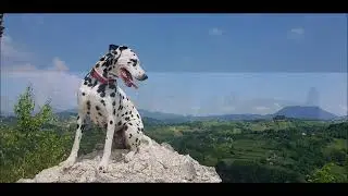 Pje&scaron;ke po Zagorju - On foot by Zagorje - Croatia walking tour with 2 dalmatians