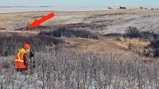 Охота с винтовкой на белохвостого оленя и оленя-мула в Саскачеване, Канада