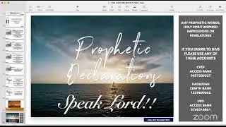 I WILL NOT BE SILENT - ON LINE PROPHETIC PRAYERS -LION OF JUDAH