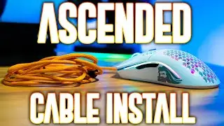 How To Install Ascended Cable On Glorious Model D/Model O/Model O-!