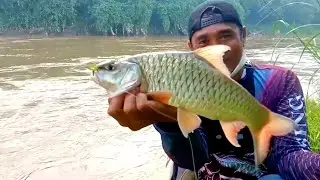 HAMPIR KEWALAHAN STRIKE HAMPALA BESAR SUNGAI CISADANE‼️