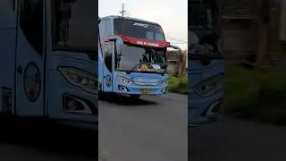 Normal Bus Travel after Long Eid Holiday #bus #holiday #eid #short #shorts