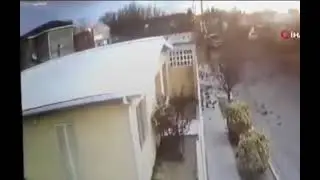 Flock of birds die and fall from the sky in Mexico in disturbing footage