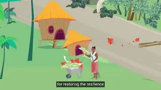 Invasive Species management, a nature-based solution for climate adaptation
