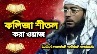কলিজা শীতল করা ওয়াজ | মাওলানা হাবিবুর রহমান বুলবুলি | Maulana habibur Rahman Bulbuli 