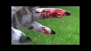 CRYPTID Movie Trailer