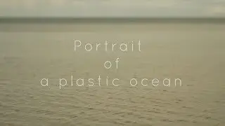 Portrait of a drifted plastic / Asahi opt. super-takumar 1.8/55