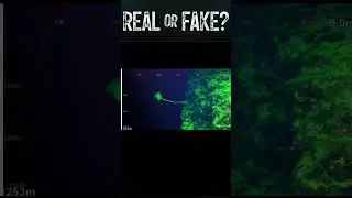 Deep Sea Enigma: Unveiling an Unknown Creature | #Shorts #deepsea #mystery