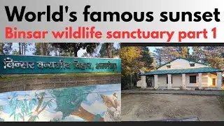 An offbeat location of Almora|#viral video|part 1|#nature#travellers parindey 