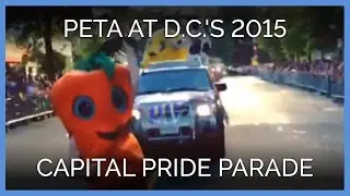 PETA Takes Part in D.C.'s 2015 Capital Pride Parade