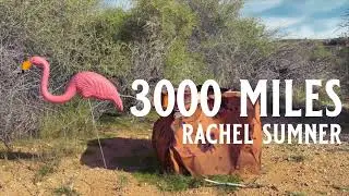 3000 Miles // Rachel Sumner (official music video)