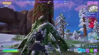 playing fortnite :3