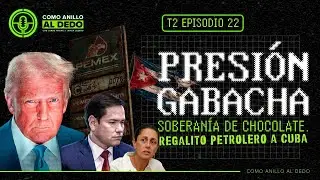 Como Anillo al Dedo - T2, Cap&iacute;tulo #22