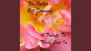 The Fallen (A Tribute to those lost in War)
