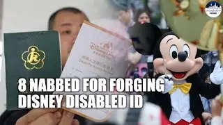 DESPICABLE! Eight detained in Shanghai for forging Disney disabled service cards