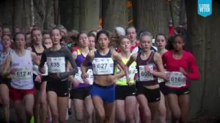 Sfeerverslag Loket.nl Warandeloop 2016