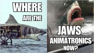 What Happened to the Jaws Shark Animatronics (Movie and Universal Studios Ride)? #jaws #animatronics