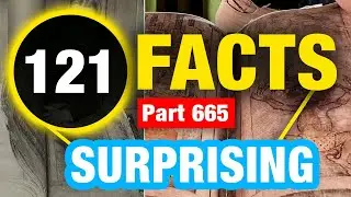 121 Weird Fun Facts | Mind Blowing Facts You Didn&rsquo;t Know