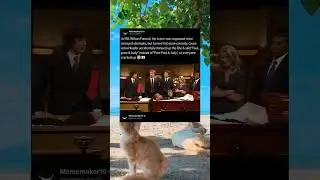 IN SNL Wilson house sketch (2013), John Header did something