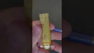 Perfect Crimp Hull Trimmer Real Time Crimping