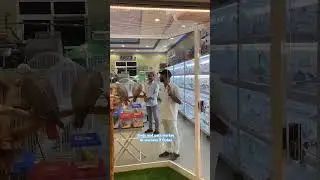 Birds and pets market dubai Al warsana3