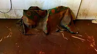 Traditional green dirty carpet cleaning ASMR I Satisfying rug cleaning I
