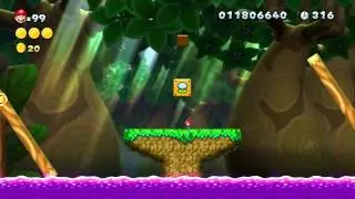 NSMBU Mini Run - Soda Jungle-6 - Seesaw Bridge