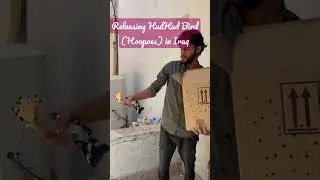 Releasing HudHud Bird in Iraq.